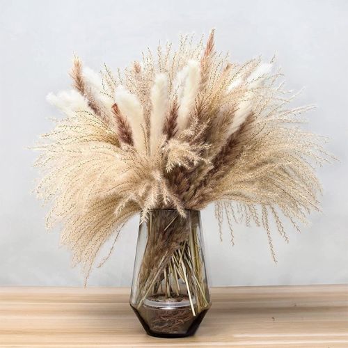 62/100/109pcs Natural Dried Pampa Grass Bouquet Phragmites Dried Flower Boho Home Decor Bouquet Room Holiday Wedding Party Decor 62/100/109pcs Natural Dried Pampa Grass Bouquet Phragmites Dried Flower Boho Home Decor Bouquet Room Holiday Wedding Party Decor